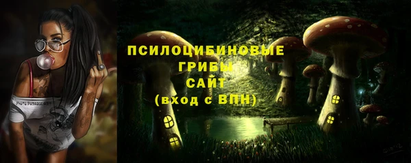 ПСИЛОЦИБИНОВЫЕ ГРИБЫ Козельск