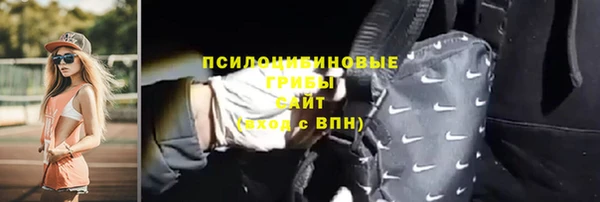 ПСИЛОЦИБИНОВЫЕ ГРИБЫ Козельск