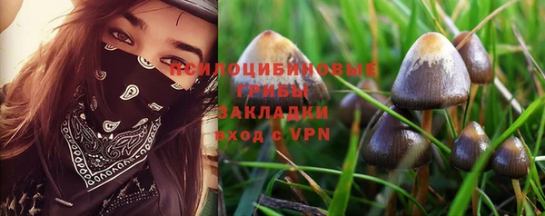метадон Козловка