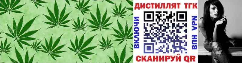 ТГК THC oil  Купить где  Заинск 