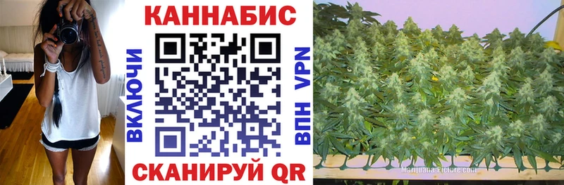 МАРИХУАНА Amnesia  Купить закладки  Заинск 